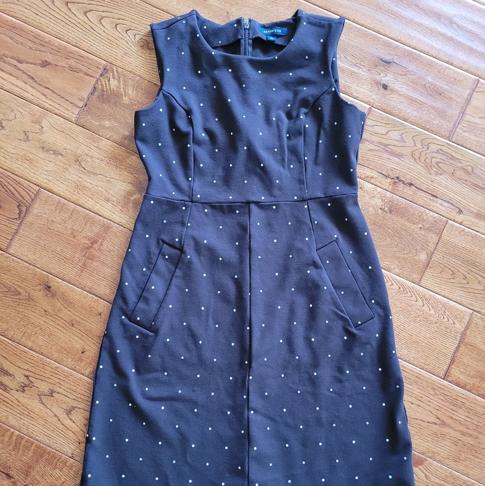 Lands End Shift dress